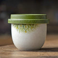Hand-Painted Daisy Ceramic Coffee Cup with Lid - StillMug